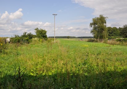 dom na sprzedaż - Grabica, Szydłów