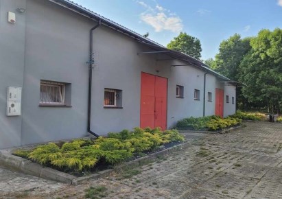 lokal na sprzedaż - Stryków (gw), Dobra