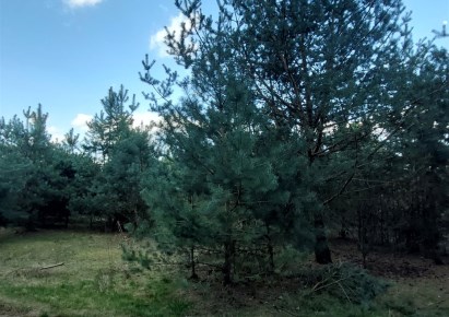 działka na sprzedaż - Lutomiersk, Nowy Stanisławów