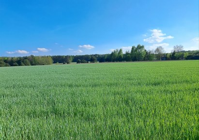 działka na sprzedaż - Łask (gw), Rembów