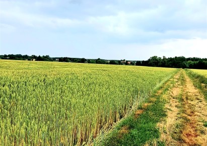 działka na sprzedaż - Sędziejowice, Sędziejowice-Kolonia