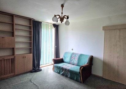 mieszkanie na sprzedaż - Łódź, Górna, Dąbrowa