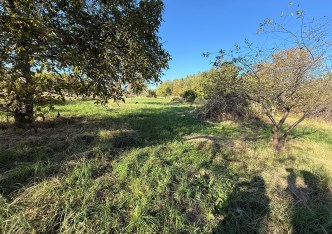 działka na sprzedaż - Zduńska Wola