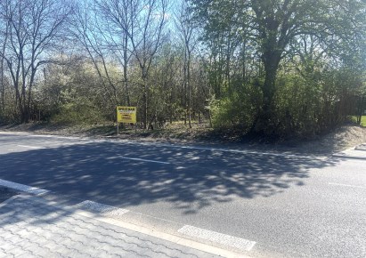 działka na sprzedaż - Łódź, Widzew, Nowosolna, Brzezińska